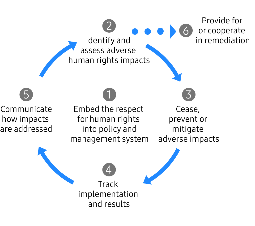 1. Embed the respect for human rights into policy and management system 2. Identify and assess adverse human rights impacts 3. Cease, prevent or mitigate adverse impacts 4. Track implementation and results 5. Communicate how impacts are addressed 6. Provide for or cooperate in remediation